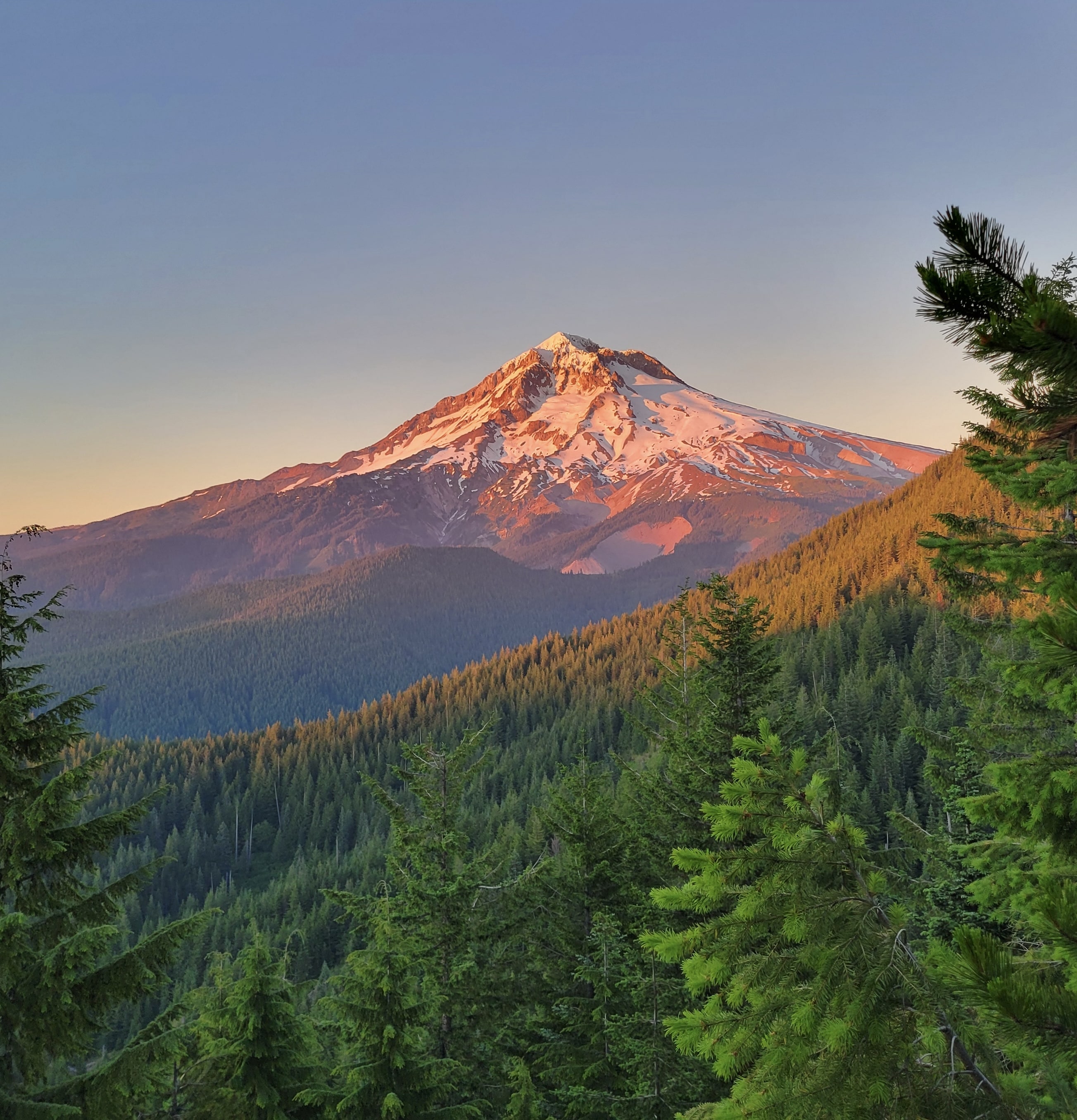 Ian Leuty profile picture